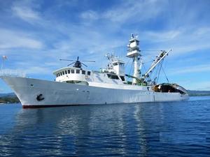 215ft Purse Seiner -16467