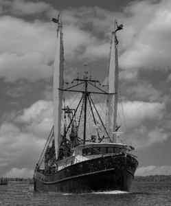 90FT STEEL TRAWLER - 16594
